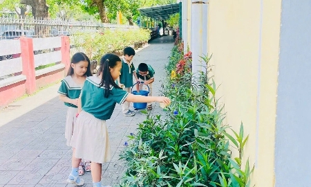 Thực hành lối sống xanh từ môi trường học đường