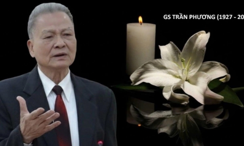 Tiểu sử GS. Trần Phương