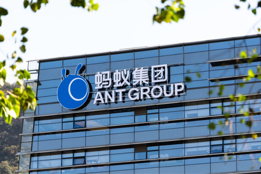 Ban đầu, Ant Group được biết đến với tên gọi Ant Financial Services Group, quản lý nền tảng thanh toán Alipay. Sau đó năm 2020, công ty đổi tên thành Ant Group để thể hiện định hướng mở rộng sang công nghệ tài chính và trí tuệ nhân tạo