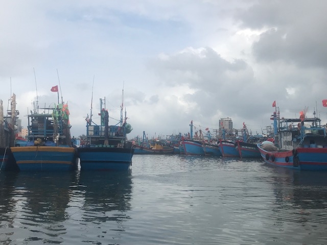 Tàu thuyền của ngư dân miền Trung neo đậu tại Âu thuyền Thọ Quang tránh bão số 12