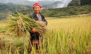 Hướng tới quản trị nguồn lực thống nhất đề giảm nghèo bền vững