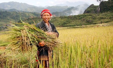 Hướng tới quản trị nguồn lực thống nhất đề giảm nghèo bền vững