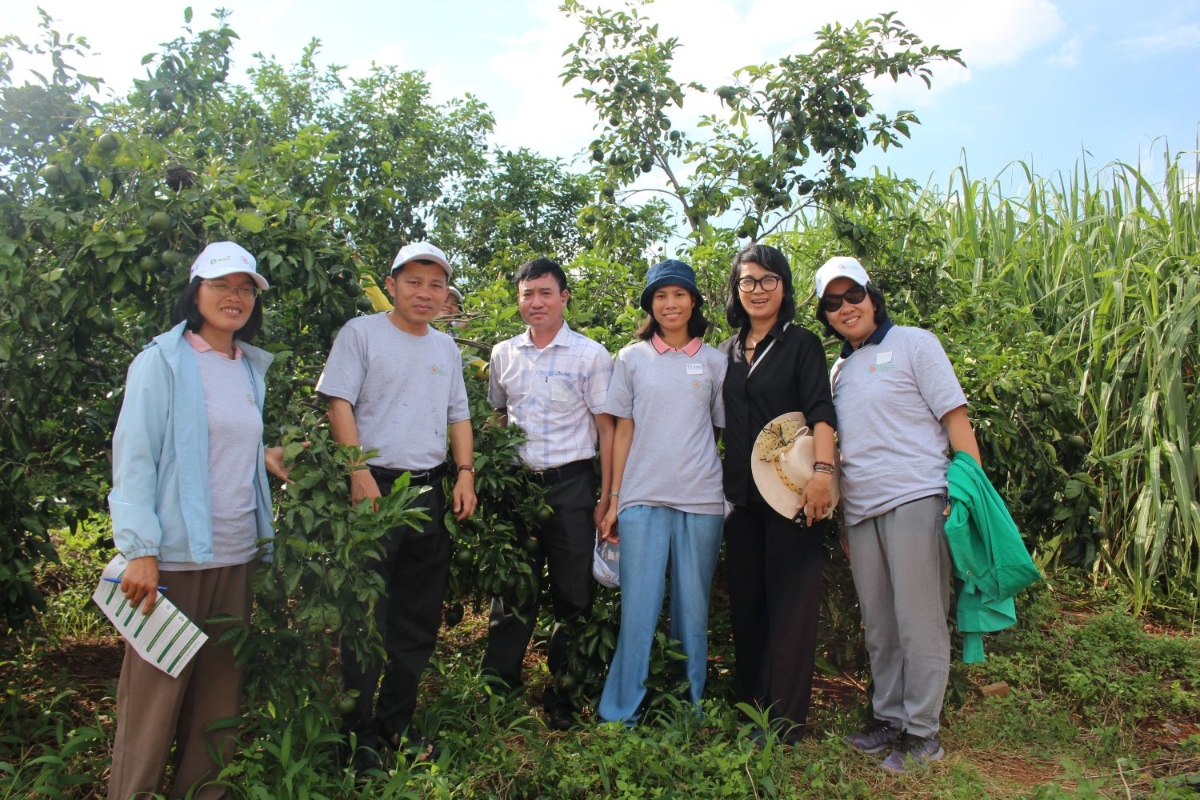 Nhiều mô hình xen canh cho hiệu quả cao, giúp cải tạo đất và giảm phát thải khí nhà kính.&nbsp;