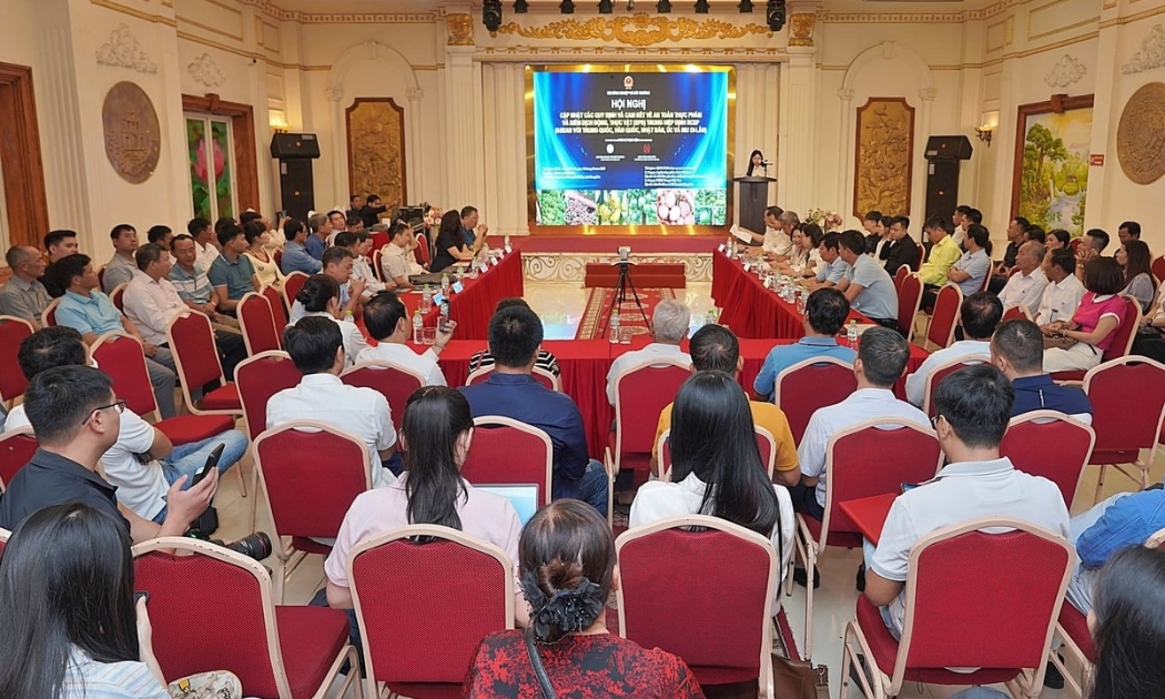 Quang cảnh hội nghị