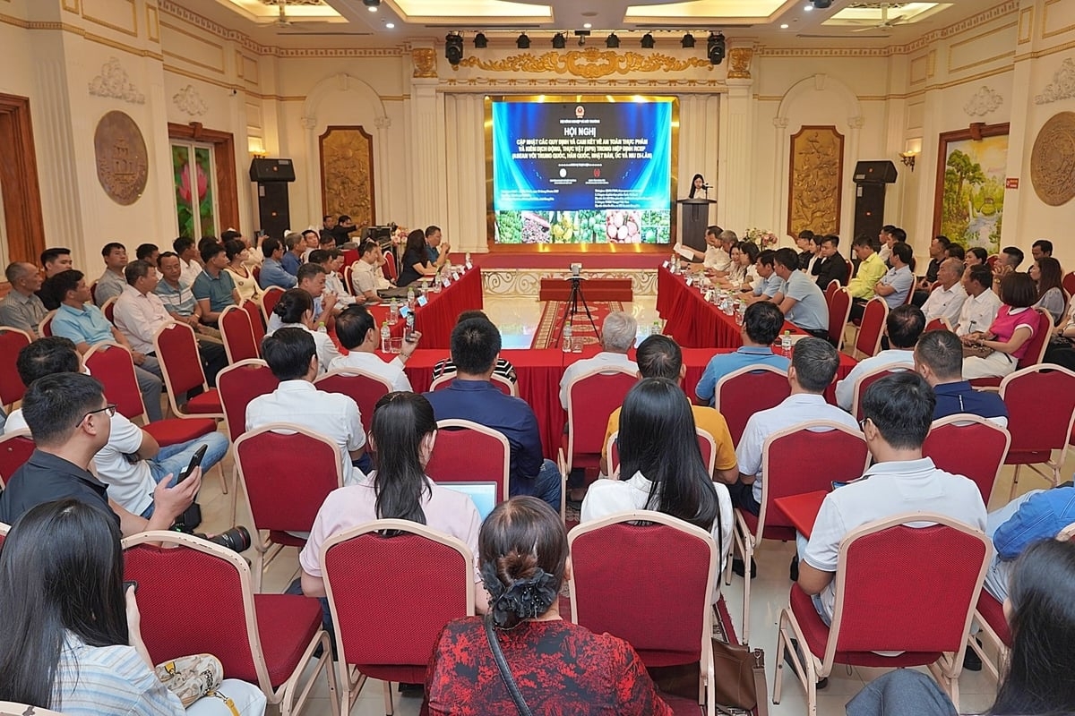 Quang cảnh hội nghị
