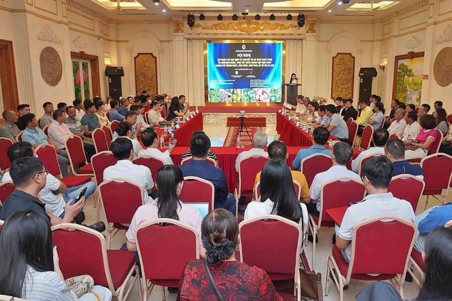 Quang cảnh hội nghị
