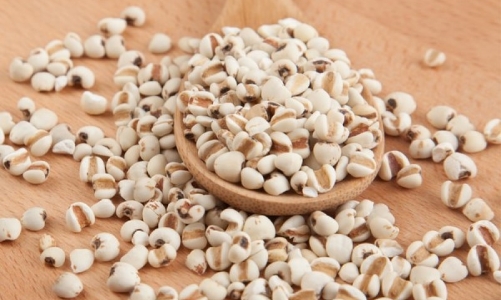 Bộ Y tế đề nghị thu hồi lô dược liệu Ý dĩ không đạt tiêu chuẩn chất lượng