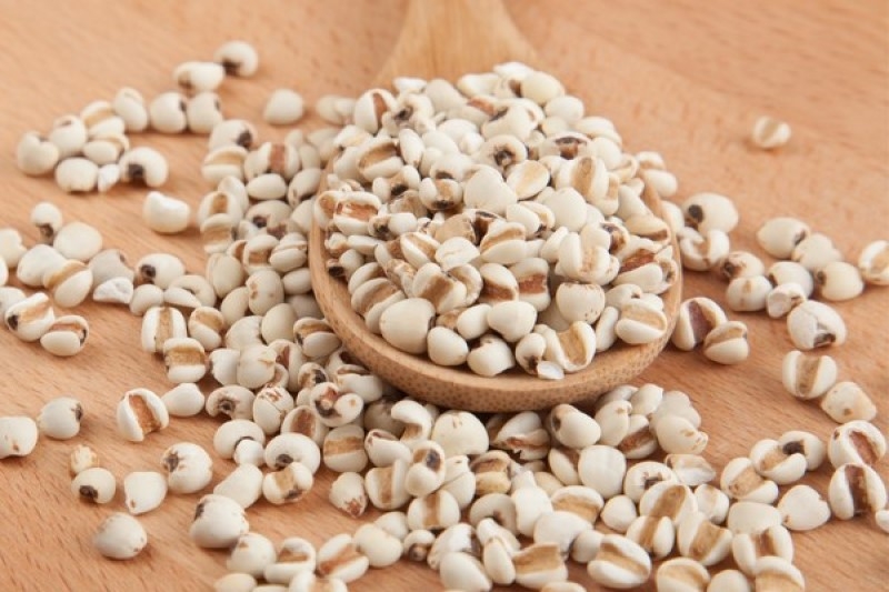 Dược liệu Ý dĩ của Phòng chẩn trị Y học cổ truyền Y sĩ Lương Mạnh Tuấn. Ảnh: Bộ Y tế.