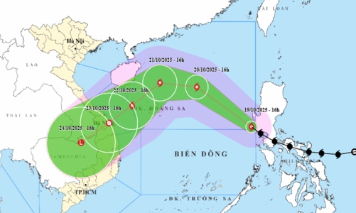 Đà Nẵng tiếp tục kêu gọi tàu thuyền vào bờ hoặc tìm nơi trú tránh an toàn trước bão số 12