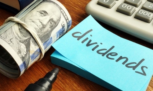 10 cổ phiếu lọt rổ chỉ số tăng trưởng chi trả cổ tức VNDIVIDEND 