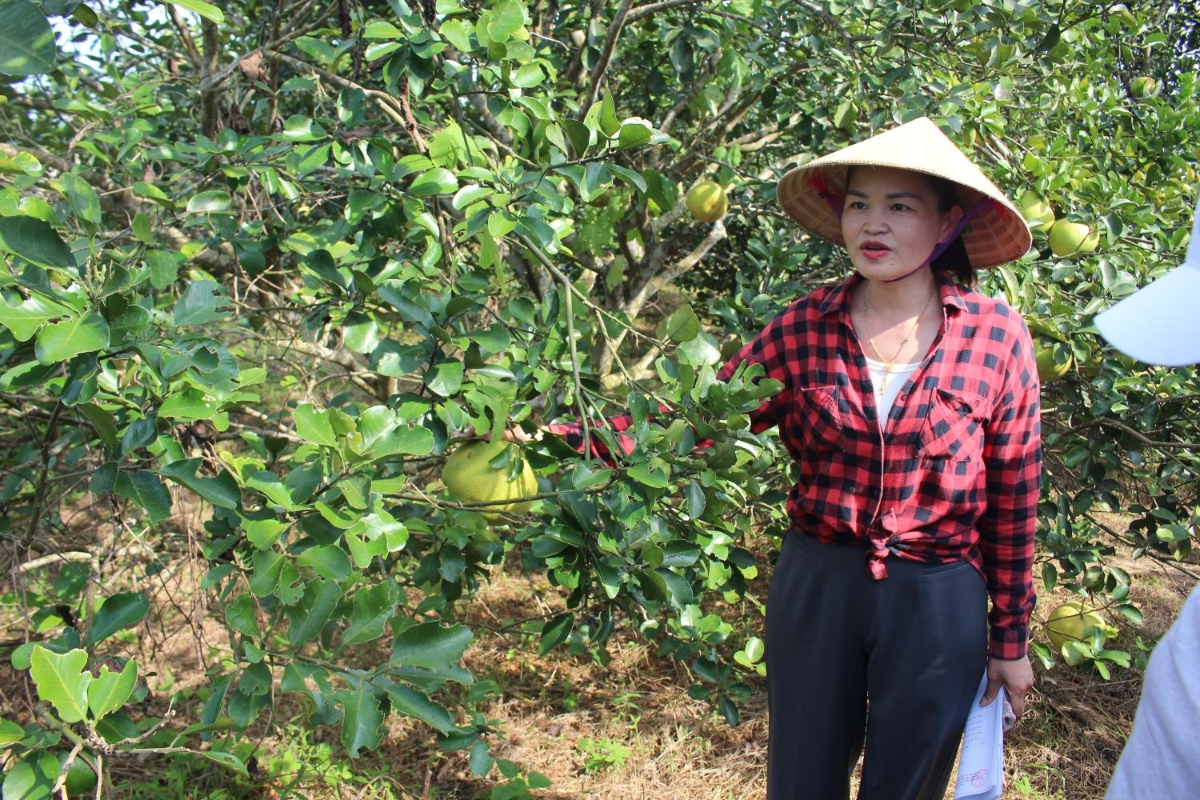 Chị Phạm Thị Sâm giới thiệu 