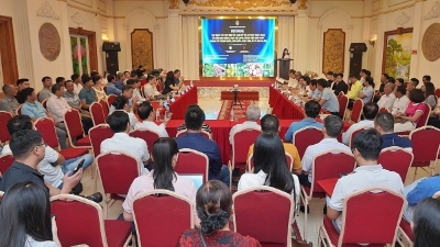Vietnam's agri-exports eye new opportunities under China’s new decree
