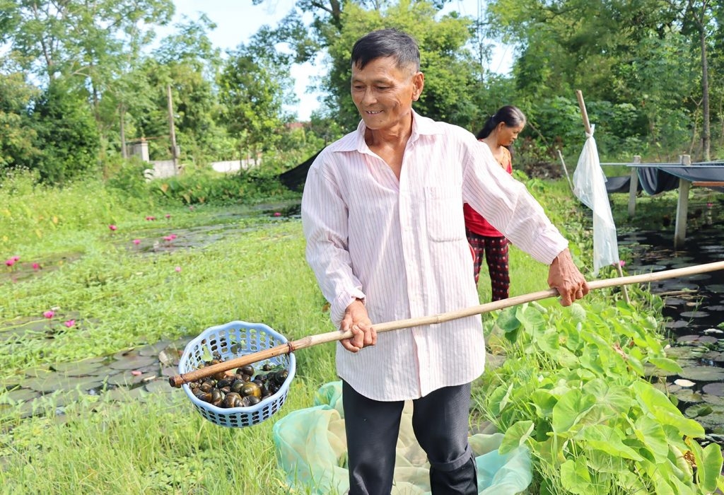Ông Hoàng Trọng Sỹ chia sẻ kinh nghiệm xử lý đáy ao và chăm sóc ốc để hạn chế dịch bệnh, nâng cao năng suất.