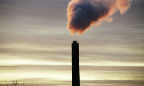 New Zealand nới lỏng các quy định về báo cáo khí hậu  cho doanh nghiệp để thúc đẩy thị trường vốn