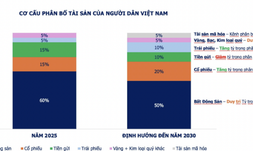 Cơ cấu tài sản của người dân Việt Nam có đến 60% là bất động sản