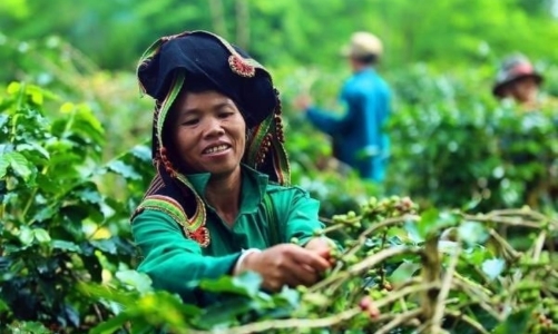 Lan tỏa mô hình nông nghiệp sinh thái tại Việt Nam