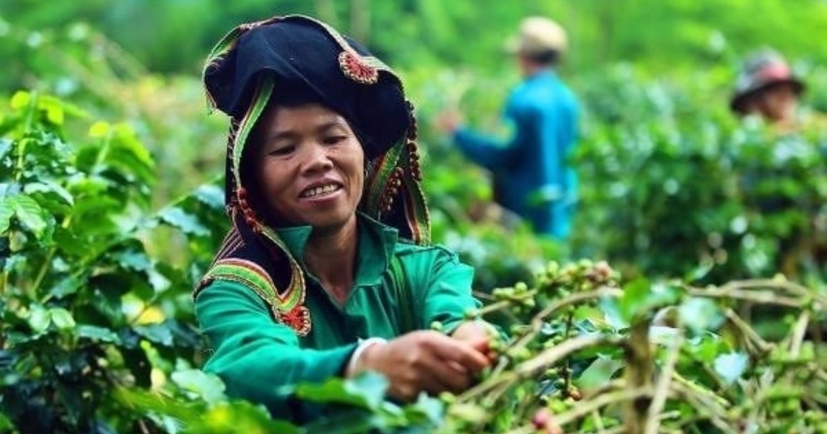 Lan tỏa mô hình nông nghiệp sinh thái tại Việt Nam