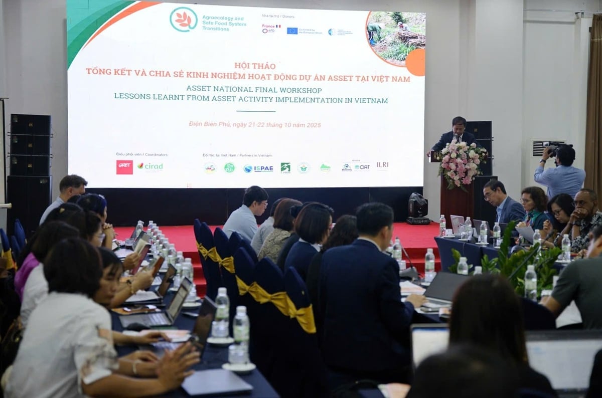 Quang cảnh tồng kế dự án.