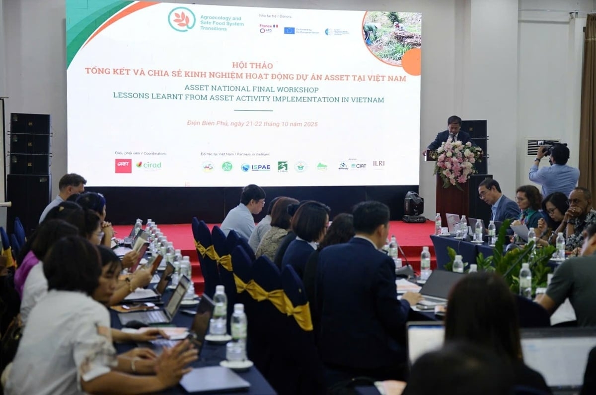 Quang cảnh tồng kế dự án.