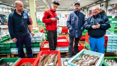 Many Vietnamese businesses unaware of EU supply chain due diligence regulations