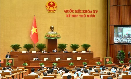 Quốc hội nghe Báo cáo thẩm tra và Tờ trình 3 dự án luật về giáo dục