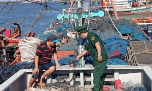 Thủ tướng ban hành kế hoạch hành động tháng cao điểm chống khai thác IUU
