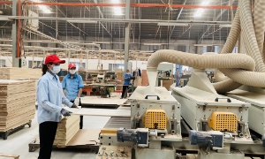 “Công xưởng công nghiệp” của thành phố Hồ Chí Minh cần hàng vạn lao động dịp cuối năm