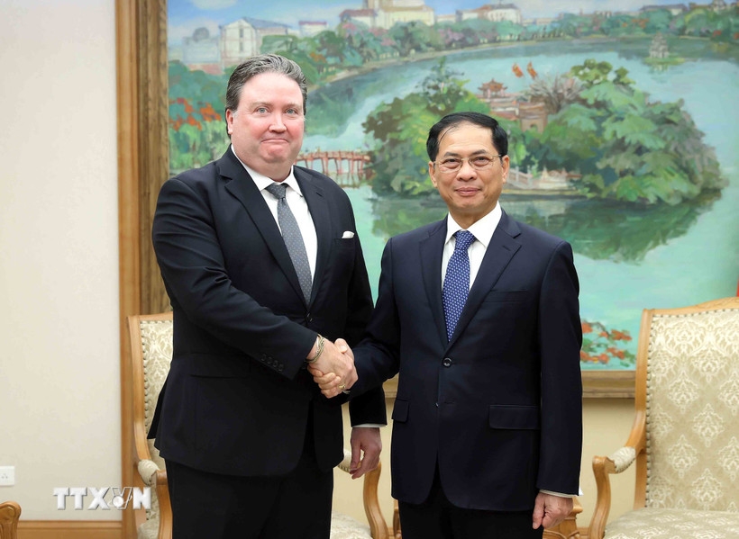 Phó Thủ tướng Bùi Thanh Sơn tiếp Đại sứ Hoa Kỳ tại Việt Nam Marc E. Knapper. Ảnh: TTXVN.