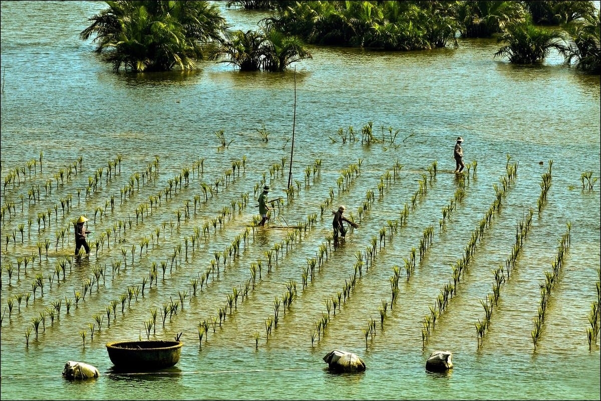 Nâng cao khả năng chống chịu và năng lực thích ứng với biến đổi khí hậu của hệ thống tự nhiên, kinh tế và xã hội, bảo đảm sinh kế bền vững.
