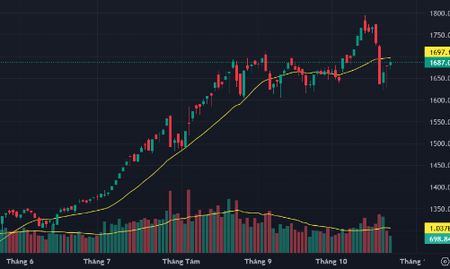 Dòng tiền lựa chọn kỹ, thị trường phân hóa tích cực