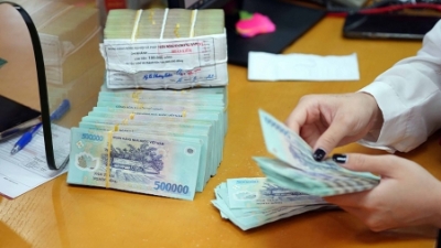 Thanh Hoa's tax debt reaches nearly $15 mln