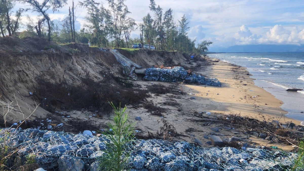 Do ảnh hưởng của các đợt thiên tai, hiện nay bờ biển đoạn qua phường Bắc Gianh, tỉnh Quảng Trị bị xâm thực, sạt lở ở nhiều vị trí, tiềm ẩn nguy cơ mất an toàn giao thông cũng như đời sống của người dân địa phương. Ảnh: Quốc Việt