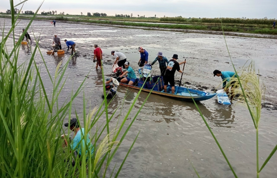 Phát triển nông nghiệp thích ứng với biến đổi khí hậu.