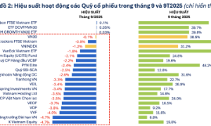 63 quỹ cổ phiếu báo hiệu suất âm trong tháng 9, nhiều quỹ kém do năm giữ FPT, MWG 