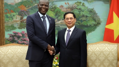 South Africa urged to advance FTA talks between Vietnam and SACU