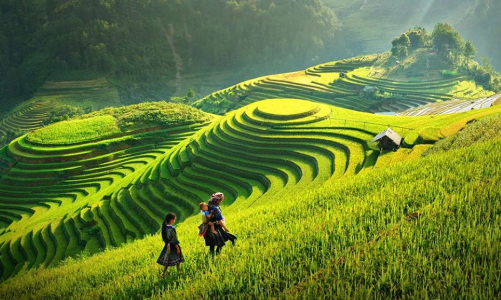 Bản Ngàm làm du lịch 