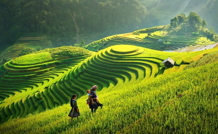 Vẻ đẹp của những thửa ruộng bậc thang ở bản Ngàm.