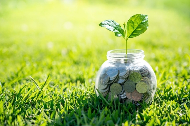 Green FDI projects to be prioritized