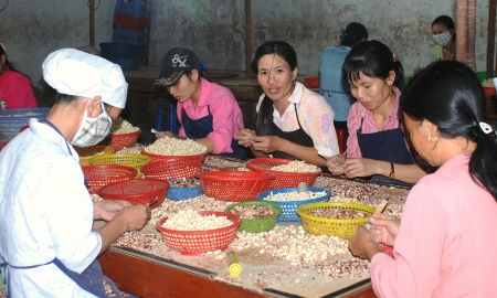 Xuất khẩu điều kỳ vọng cán mốc kỷ lục 5 tỷ USD