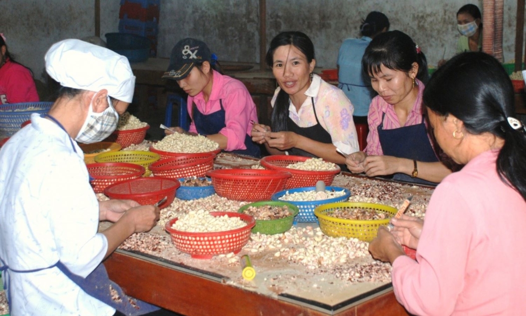 Xuất khẩu điều 9 tháng đem về trị giá 3,77 tỷ USD.