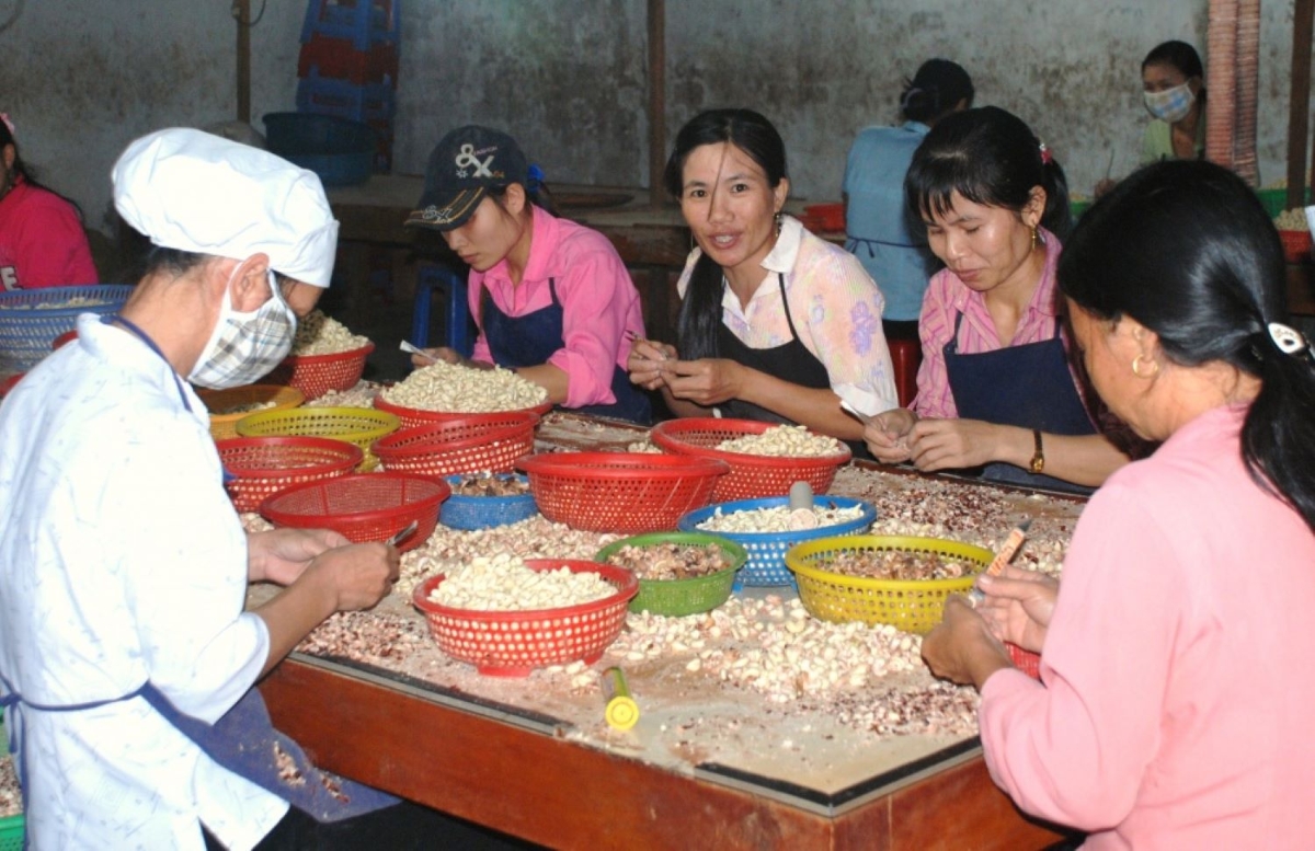 Xuất khẩu điều 9 tháng đem về trị giá 3,77 tỷ USD.