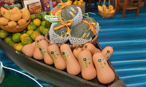 Tôn vinh và quảng bá nông sản tiêu biểu của 34 địa phương 