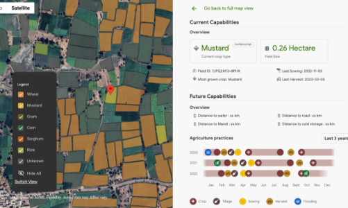 Google mở rộng ứng dụng mô hình AI nền tảng cho nông nghiệp từ Ấn Độ sang Việt Nam