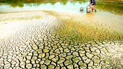 For a greener Mekong Delta