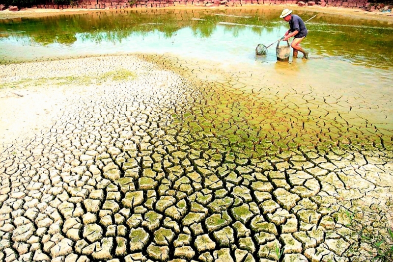 For a greener Mekong Delta