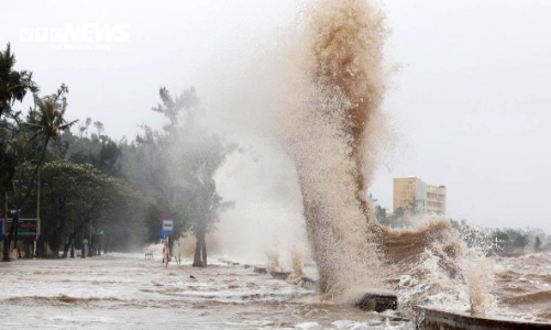 Chủ động phòng ngừa, hạn chế rủi ro thiệt hại trước thiên tai ngày càng phức tạp