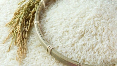 Vietnam, Singapore formalize rice trade collaboration through MOU