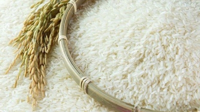Vietnam, Singapore formalize rice trade collaboration through MOU