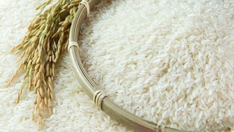 Vietnam, Singapore formalize rice trade collaboration through MOU
