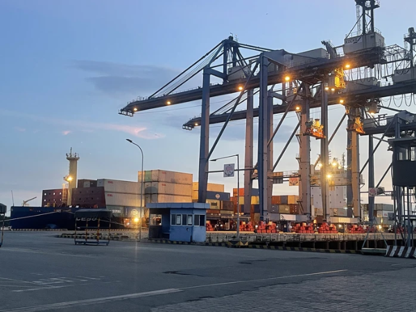 Bỏ xử phạt lỗi khai sai hải quan không ảnh hưởng nghĩa vụ thuế